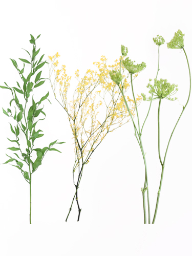 プレゼント 花材 ドライフラワー